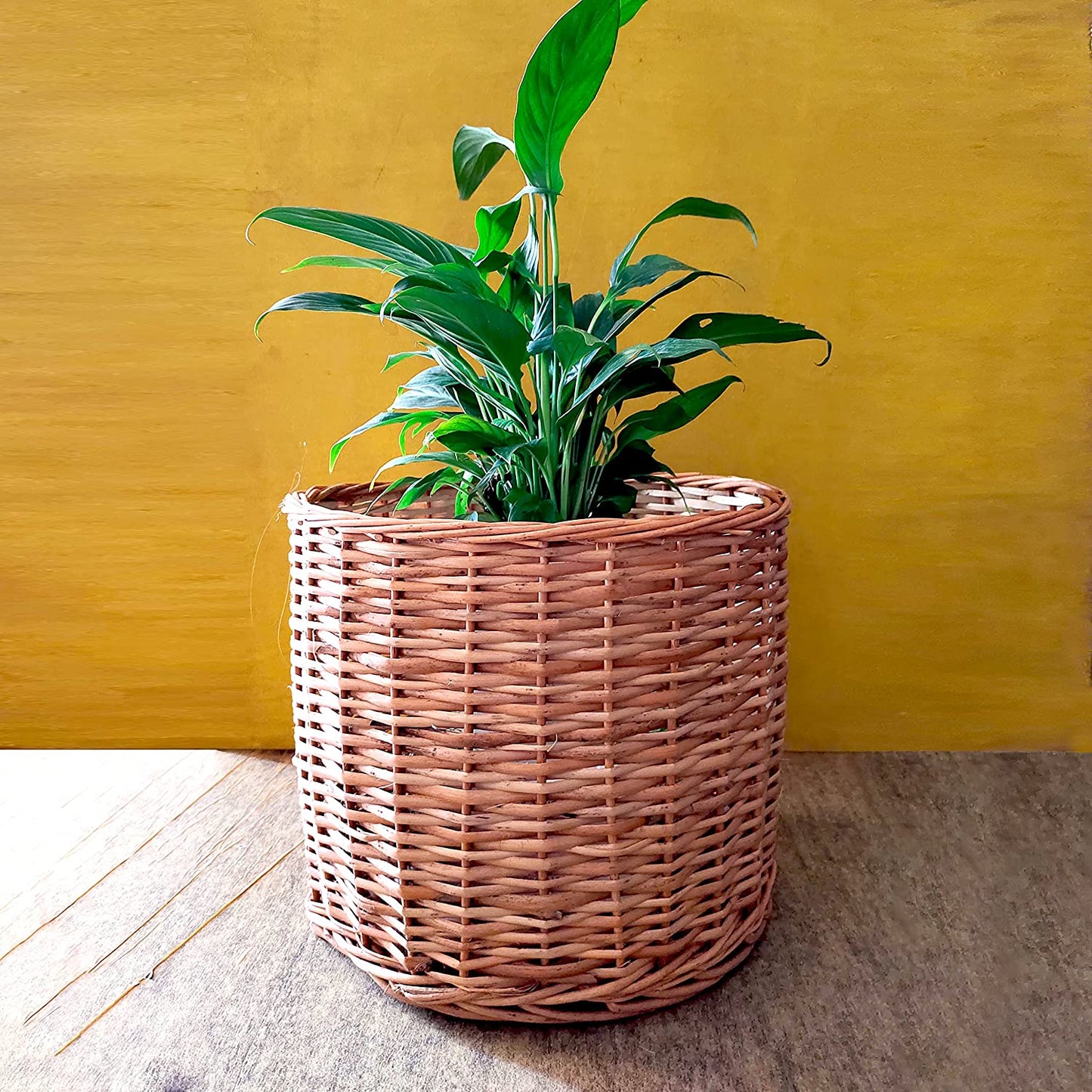 Wicker Planters for Indoor and Outdoor