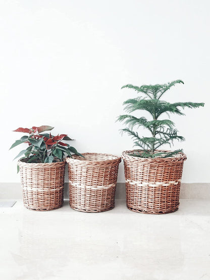 Wicker Planters for Indoor and Outdoor