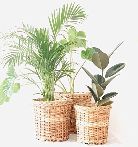 Wicker Planters for Indoor and Outdoor