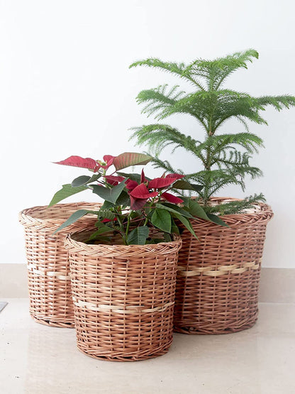 Wicker Planters for Indoor and Outdoor